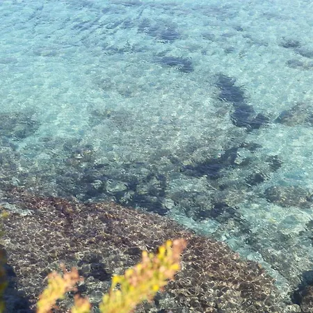 Javelin's Tropea