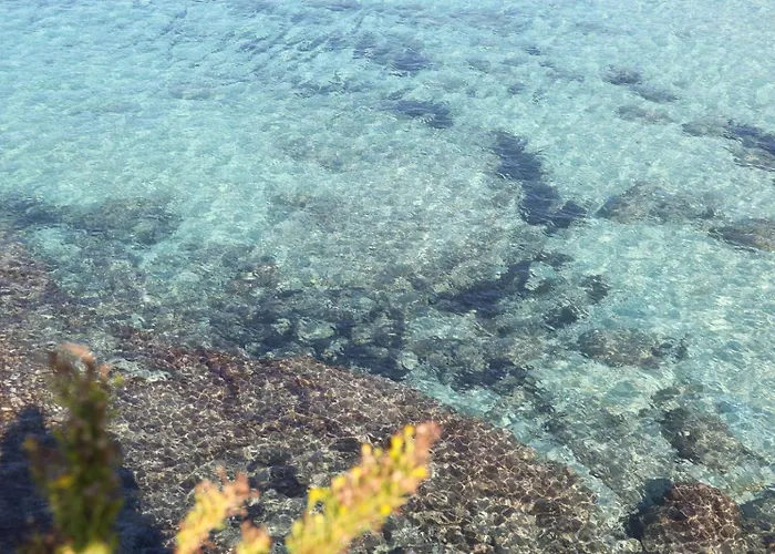 Javelin's טרופאה